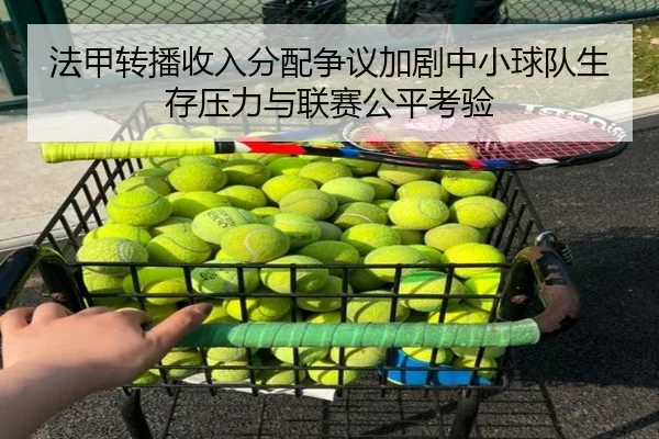 法甲转播收入分配争议加剧中小球队生存压力与联赛公平考验